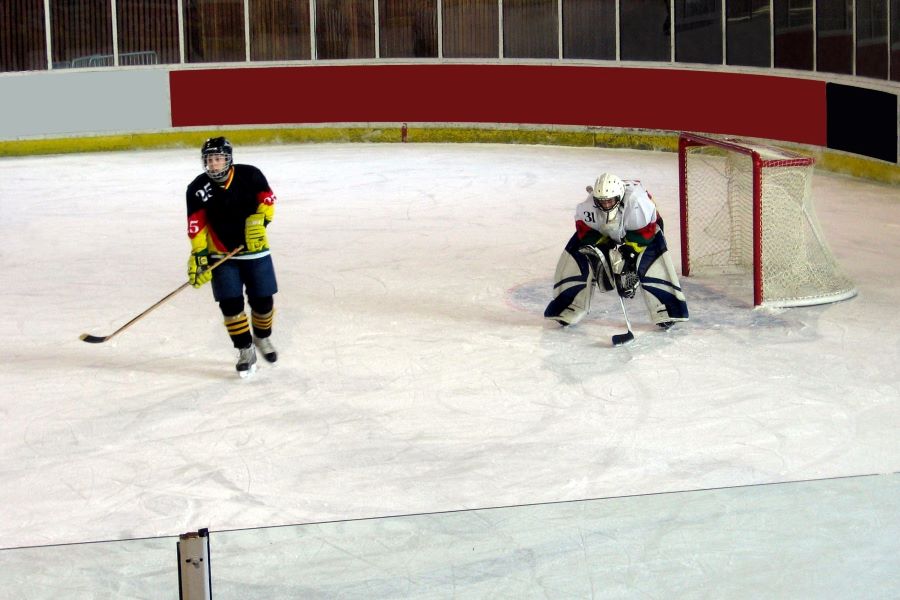 Two ice-hockey players in middle of a match
