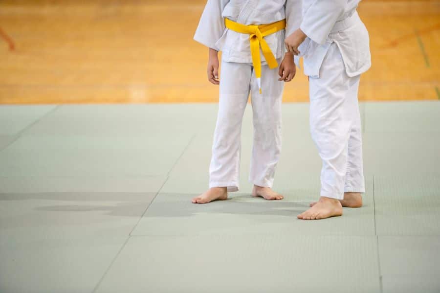 How Long Does It Take To Get A Yellow Belt In Judo? – Sports Centaur