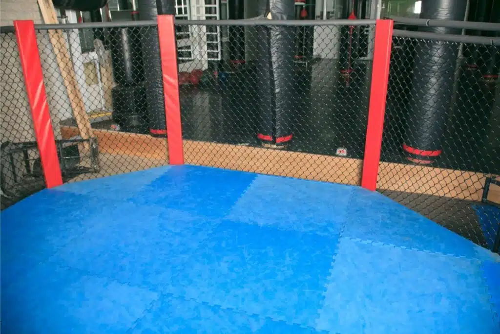 Training ring for MMA fighters
